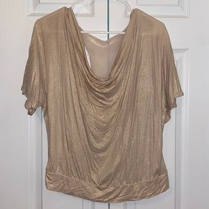 Express Cowl-neck Shimmer Top